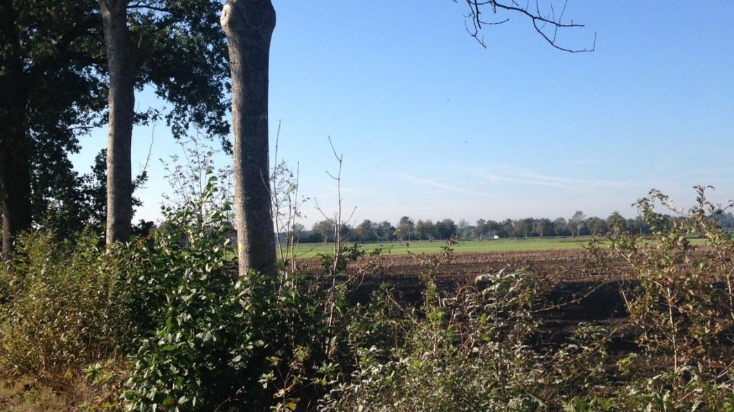 Matenweg, Nijeveen, oktober 2016 Matenweg, Nijeveen, oktober 2016