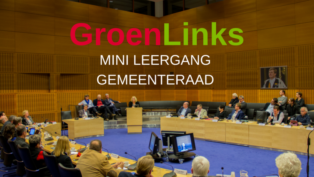 Mini Leergang Gemeenteraad Paula van Eerden Mini Leergang Gemeenteraad Paula van Eerden