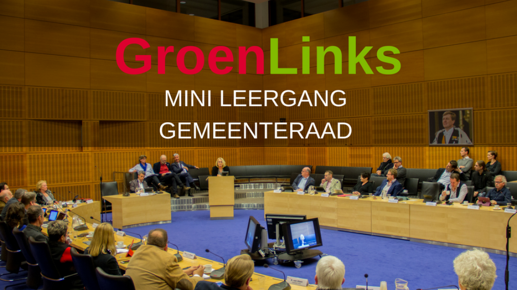 Mini Leergang Gemeenteraad Paula van Eerden