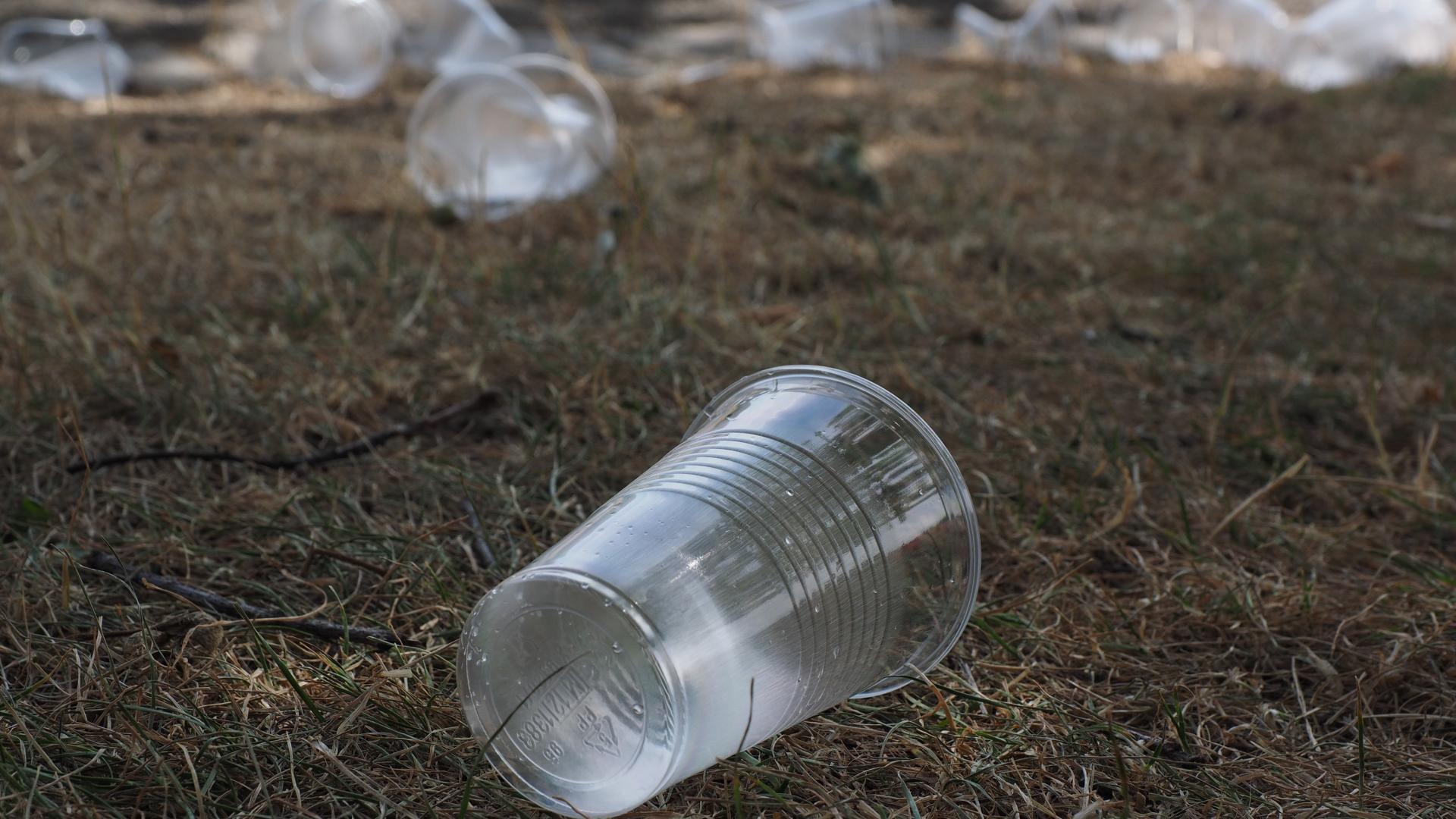 Foto van een plastic beker op een grasveld, met in de achtergrond tientallen vertrapte plastic bekers